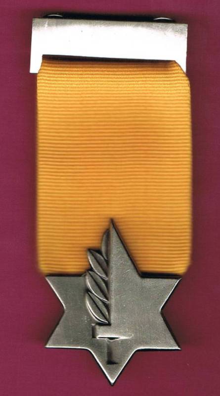 The Medal of Valor