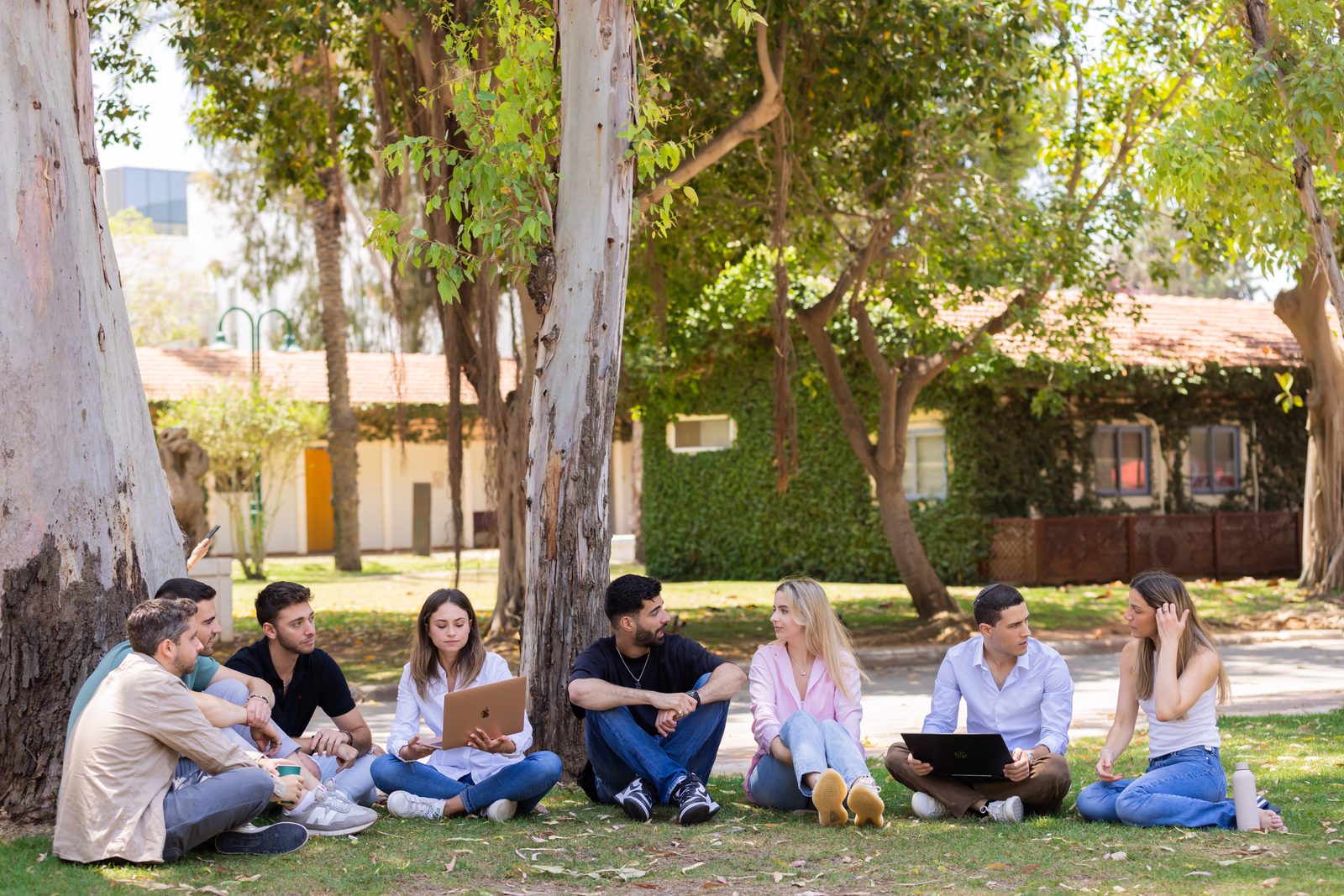 A group of students sitting under eucalyptus trees on the Reichman University lawn with laptops