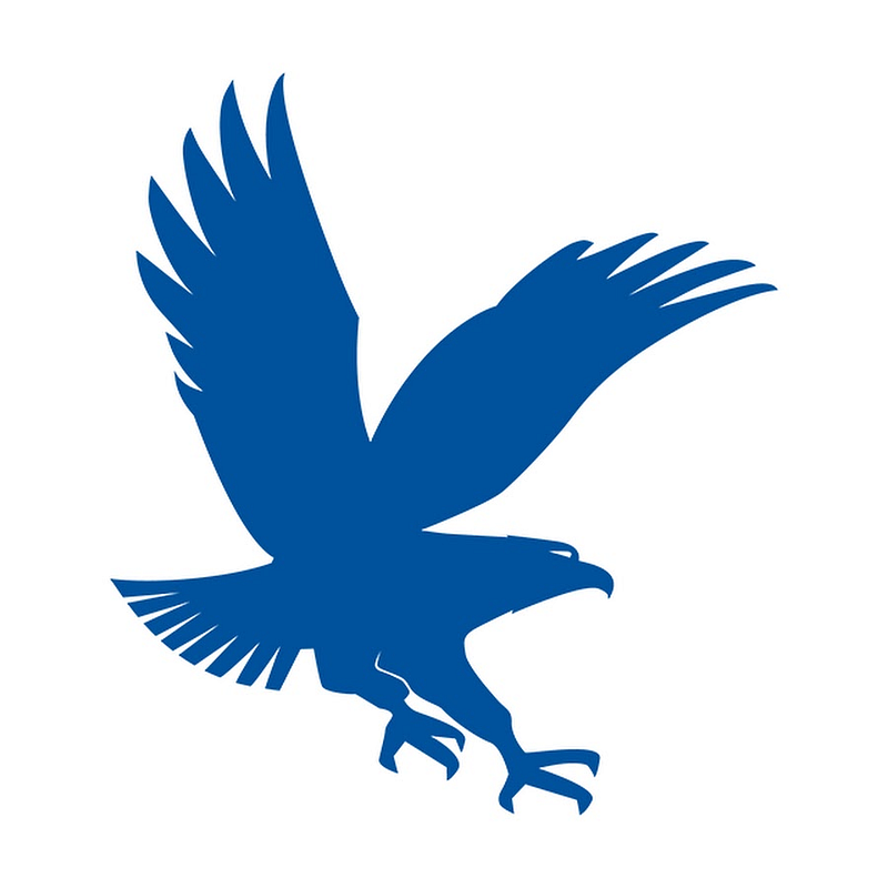 Embry–Riddle Aeronautical University logo