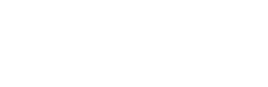 The Anna Sobol Levy Foundation